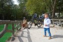 Fotelik rowerowy BOBIKE exclusive mini plus grey Fotelik rowerowy BOBIKE exclusive mini plus grey