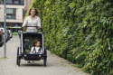 Przyczepka rowerowa dla dziecka, podwójna - THULE Chariot Cab 2 - oliwkowa/szara Przyczepka rowerowa dla dziecka, podwójna - THULE Chariot Cab 2 - oliwkowa/szara