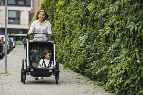 Przyczepka rowerowa dla dziecka, podwójna - THULE Chariot Cab 2 - oliwkowa/szara Przyczepka rowerowa dla dziecka, podwójna - THULE Chariot Cab 2 - oliwkowa/szara