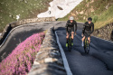 Męskie spodenki rowerowe SILVINI FORTORE MP1003 M Męskie spodenki rowerowe SILVINI FORTORE MP1003 M