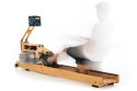Wioślarz wodny WaterRower Performance Oak SR Dąb