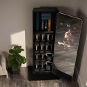 NORDICTRACK LUSTRO FITNESS VAULT