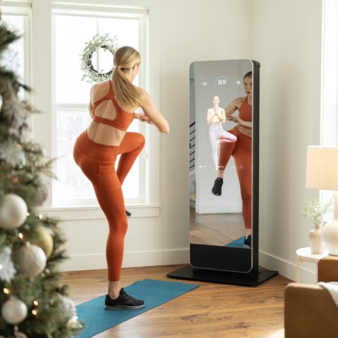 NORDICTRACK LUSTRO FITNESS VAULT NORDICTRACK LUSTRO FITNESS VAULT