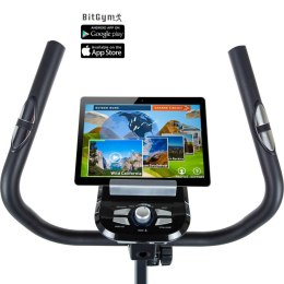 Rower treningowy HAMMER CARDIO T3 - NOWOŚĆ