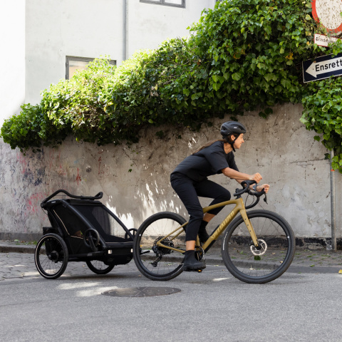 Thule NEW Chariot Sport 2 double - Natural Gold Only ERoW Thule NEW Chariot Sport 2 double - Natural Gold Only ERoW