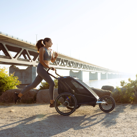 Thule NEW Chariot Sport 2 single - Natural Gold Only ERoW Thule NEW Chariot Sport 2 single - Natural Gold Only ERoW