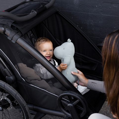 Thule NEW Chariot Sport 2 single - Natural Gold Only ERoW Thule NEW Chariot Sport 2 single - Natural Gold Only ERoW