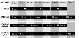 Rower KTM Myroon Prime 19