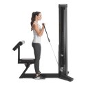FREEMOTION MASZYNA NA BICEPS FREEMOTION MASZYNA NA BICEPS