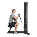 FREEMOTION MASZYNA NA BICEPS FREEMOTION MASZYNA NA BICEPS