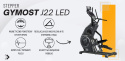 Stepper Gymost Endurance J22 LED Stepper Gymost Endurance J22 LED