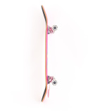Deskorolka Kompletna Fish Skateboards Beginner Erie 8.0" Deskorolka Kompletna Fish Skateboards Beginner Erie 8.0"
