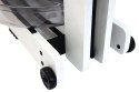 Wioślarz wodny WaterRower Blanc S4 Dąb