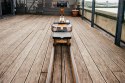 Wioślarz wodny WaterRower Oak S4 Dąb