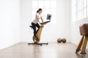 Rower treningowy NOHrD Shadow Jesion