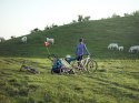 THULE Chariot - Zestaw do joggingu Sport2/Cross2/Lite2/Cab THULE Chariot - Zestaw do joggingu Sport2/Cross2/Lite2/Cab